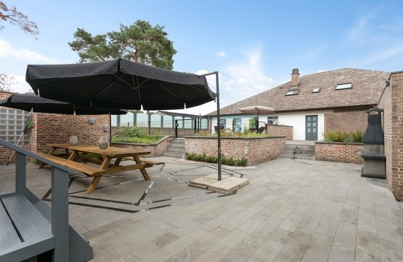 Kattenbos169lommel 37 65f2c83de765f