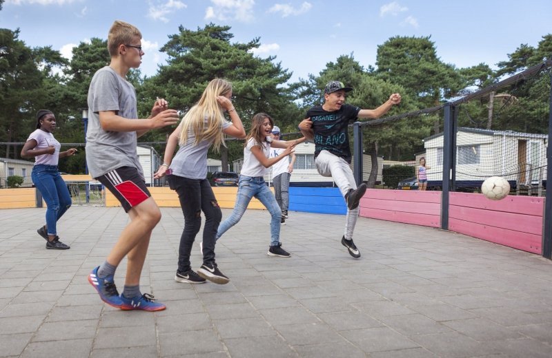 Camping in België met sportveld